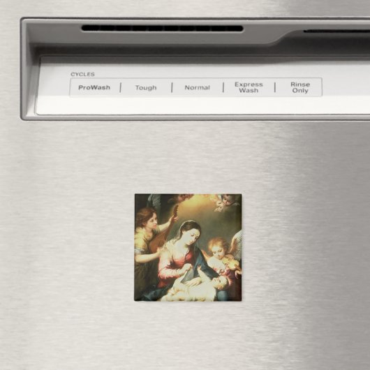 Maagd van de Zwemelen Magneet (Insitu (Vaatwasser))