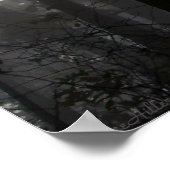 Maagdans van mist en licht tussen de bomen poster (Hoek)