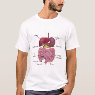Maagdarmstelsel- en spijsverteringsvoorschriften t-shirt