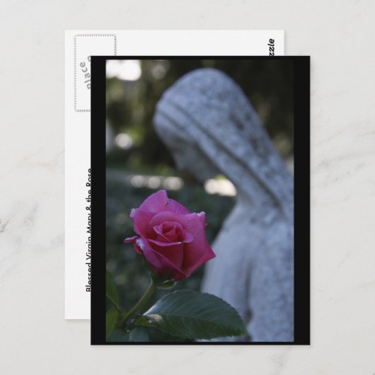 Maagdenbloem Mary en het Roos Briefkaart (Voorkant / Achterkant)