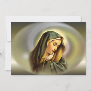 Maagdenbloem van Mary in Magnificant Glory