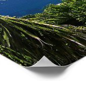 Maagdeneilanden Poster (Hoek)