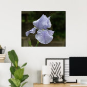 Maagdenpalm Iris met Regendruppels Poster (Thuiskantoor)