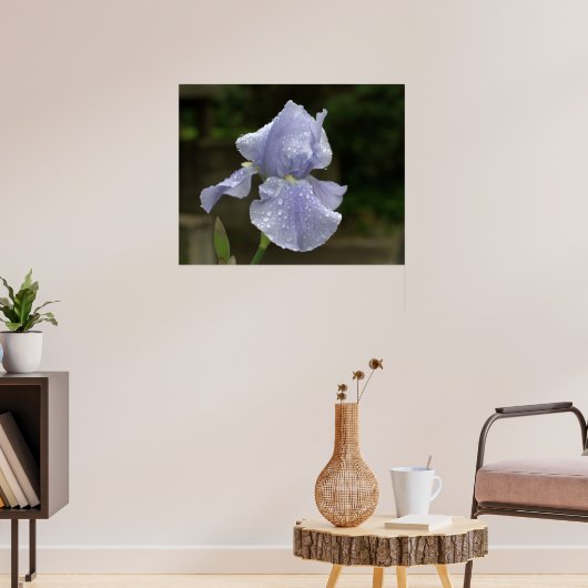 Maagdenpalm Iris met Regendruppels Poster (Woonkamer 3)