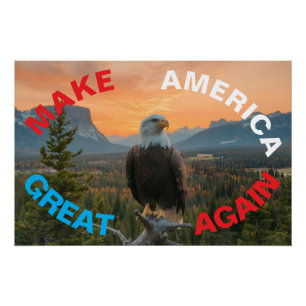 MAAK DE AMERIKAANSE GROTE EAGLE SUNRISE OPNIEUW PERFECT POSTER