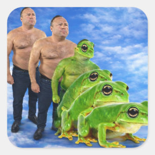 Maak de kikkers gay meme sticker - Satirisch