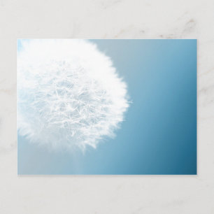 Maak een Briefkaart van Wish Dandelion