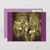 Maak een wens Briefkaart (Voorkant / Achterkant)