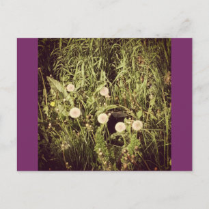 Maak een wens Briefkaart