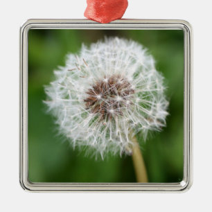Maak een wens! Dandelion Square Ornament