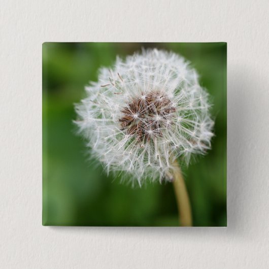 Maak een wens! Dandelion Vierkante Button 5,1 Cm (Voorkant)