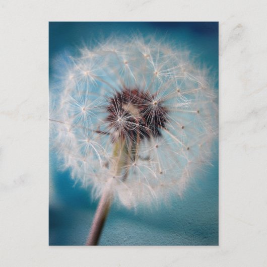 Maak een Wish Briefkaart (Voorkant)