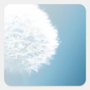 Maak een Wish Dandelion Vierkante Sticker
