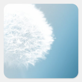 Maak een Wish Dandelion Vierkante Sticker