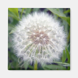 Maak een Wish Magnet Magneet