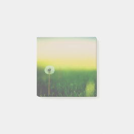 Maak een Wish Post het Nota's Post-it® Notes