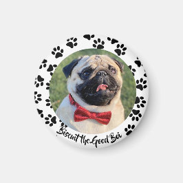 Maak er een papaverhond van magneet