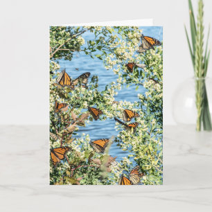 Maak je avondeten kaart