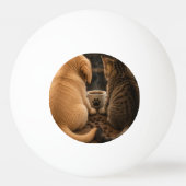 Maak je eigen aangepaste pingpongballen (Achterkant)