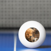 Maak je eigen aangepaste pingpongballen (Net)