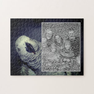Maak Je Eigen Foto Afrikaanse Grijze Papegaai Fram Legpuzzel