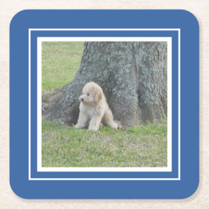 Maak Je Eigen Foto Sjabloon Blauw & Wit Vierkante Kartonnen Onderzetter