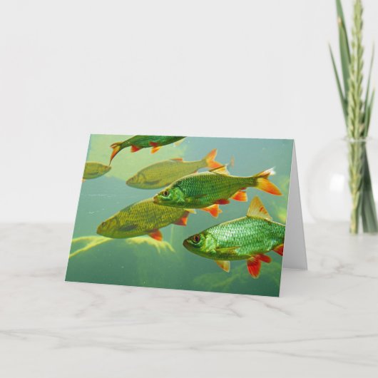 Maak je eigen fotokaart kaart (Voorkant)