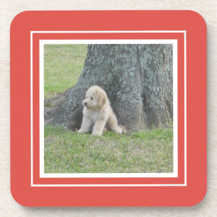 Maak je eigen fototemplate Coral & Wit Bier Onderzetter