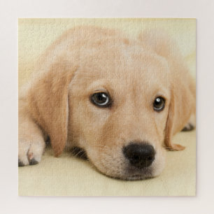 Maak Je Eigen Huisdier Foto Aangepaste Afbeelding Legpuzzel
