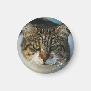Maak Je Eigen Huisdier Foto Aangepaste Foto Cadeau Magneet