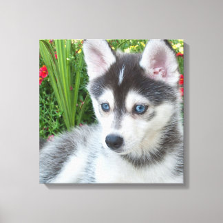 Maak Je Eigen Huisdier Foto Aangepaste Foto Canvas Afdruk