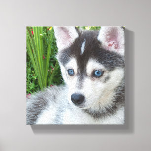 Maak Je Eigen Huisdier Foto Aangepaste Foto Canvas Afdruk