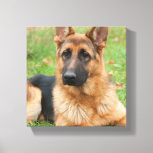 Maak Je Eigen Huisdier Foto Aangepaste Foto Canvas Afdruk