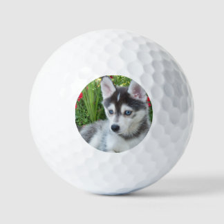 Maak Je Eigen Huisdier Foto Aangepaste Foto Golfballen