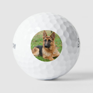 Maak Je Eigen Huisdier Foto Aangepaste Foto Golfballen