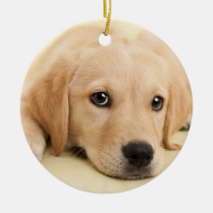 Maak Je Eigen Huisdier Foto Aangepaste Foto Keramisch Ornament