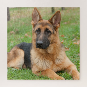 Maak Je Eigen Huisdier Foto Aangepaste Foto Legpuzzel