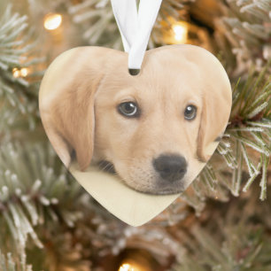 Maak Je Eigen Huisdier Foto Aangepaste Foto Ornament