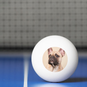 Maak Je Eigen Huisdier Foto Aangepaste Foto Pingpongballen