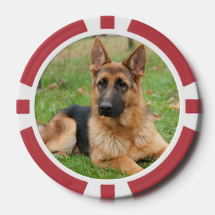 Maak Je Eigen Huisdier Foto Aangepaste Foto Poker Chips