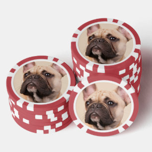 Maak Je Eigen Huisdier Foto Aangepaste Foto Poker Chips
