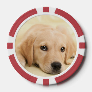 Maak Je Eigen Huisdier Foto Aangepaste Foto Poker Chips