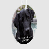 Maak Je Eigen Huisdier Herdenkingsfoto  Ornament (voorkant)