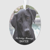 Maak Je Eigen Huisdier Herdenkingsfoto  Ornament (voorkant)