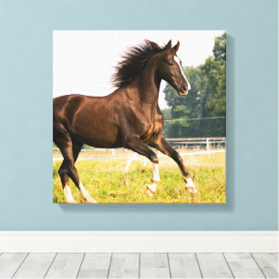 Maak Je Eigen Huisdier Paard Foto Aangepaste Foto Canvas Afdruk
