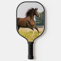 Maak Je Eigen Huisdier Paard Foto Aangepaste Foto