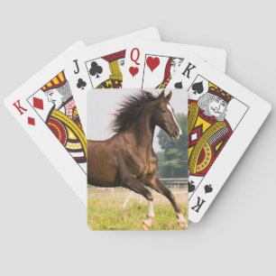 Maak Je Eigen Huisdier Paard Foto Aangepaste Foto Pokerkaarten