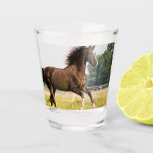 Maak Je Eigen Huisdier Paard Foto Aangepaste Foto