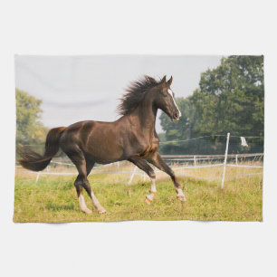 Maak Je Eigen Huisdier Paard Foto Aangepaste Foto Theedoek