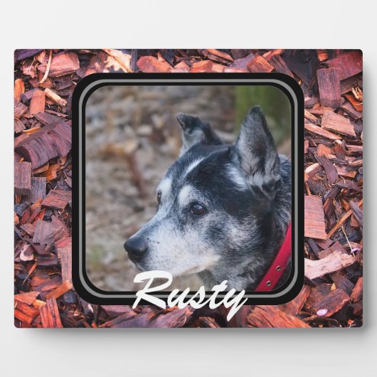 Maak je eigen huisdierplaquette fotoplaat (Voorkant)